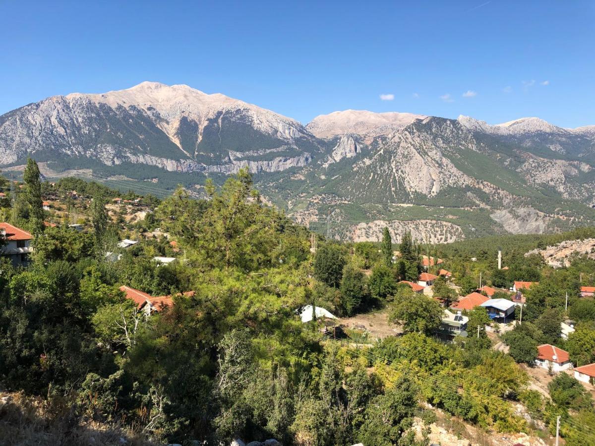 Yenivadi Dağ evi *